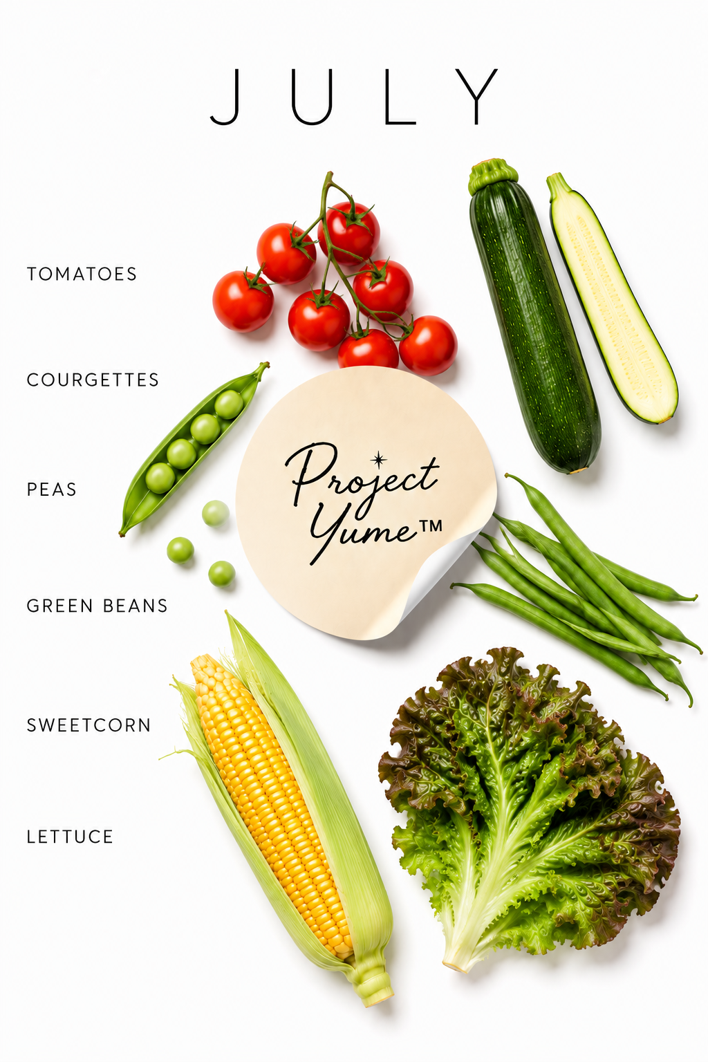 Seasonal Produce Prints