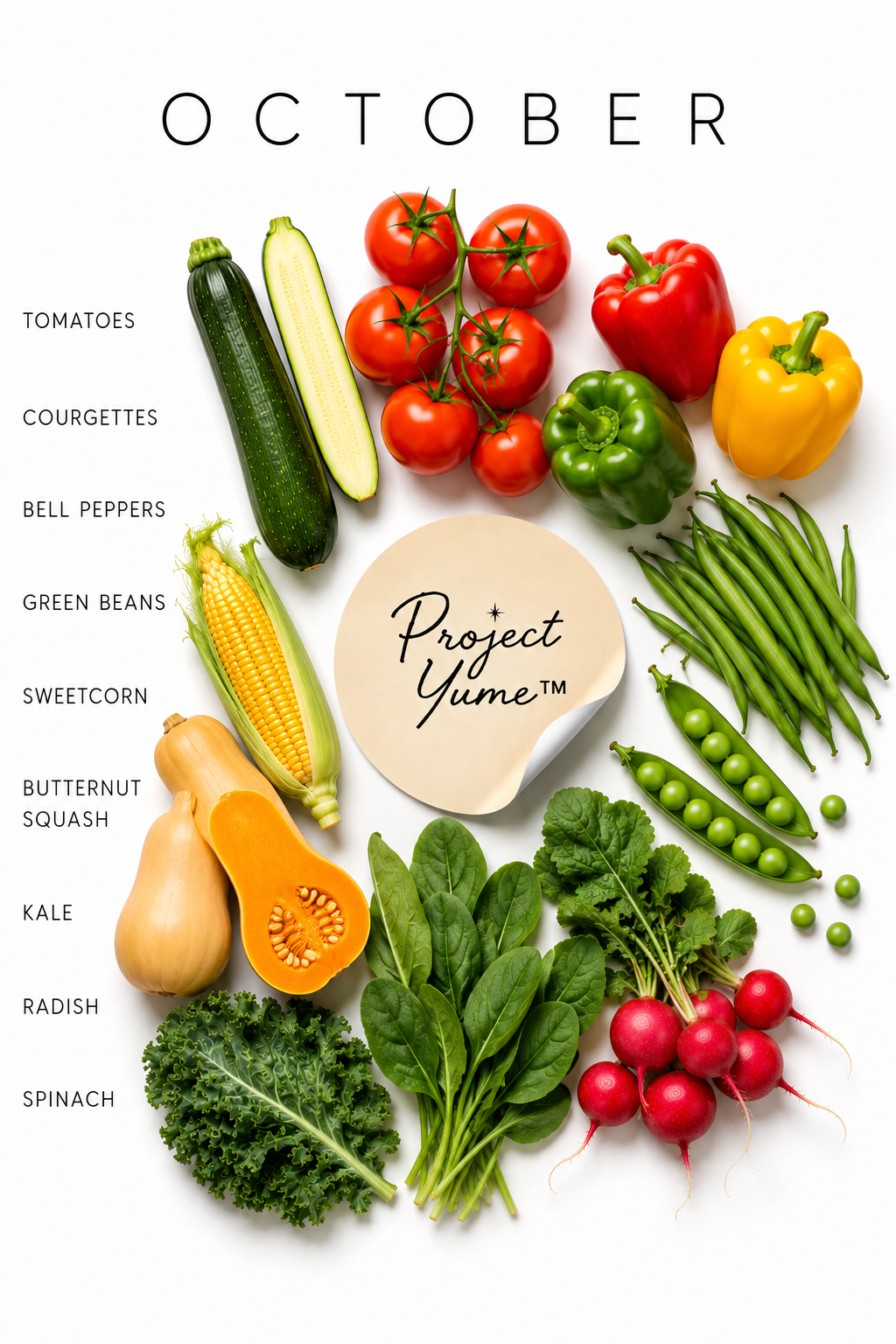 Seasonal Produce Prints