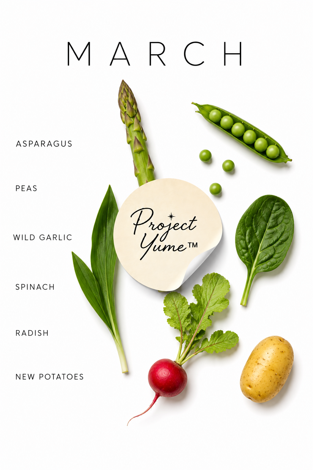 Seasonal Produce Prints