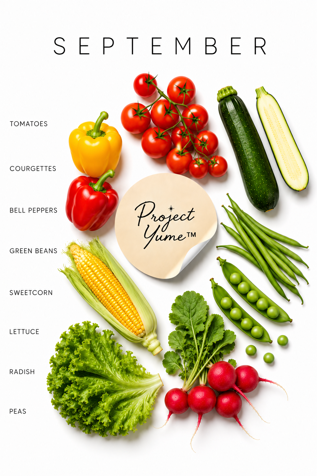 Seasonal Produce Prints