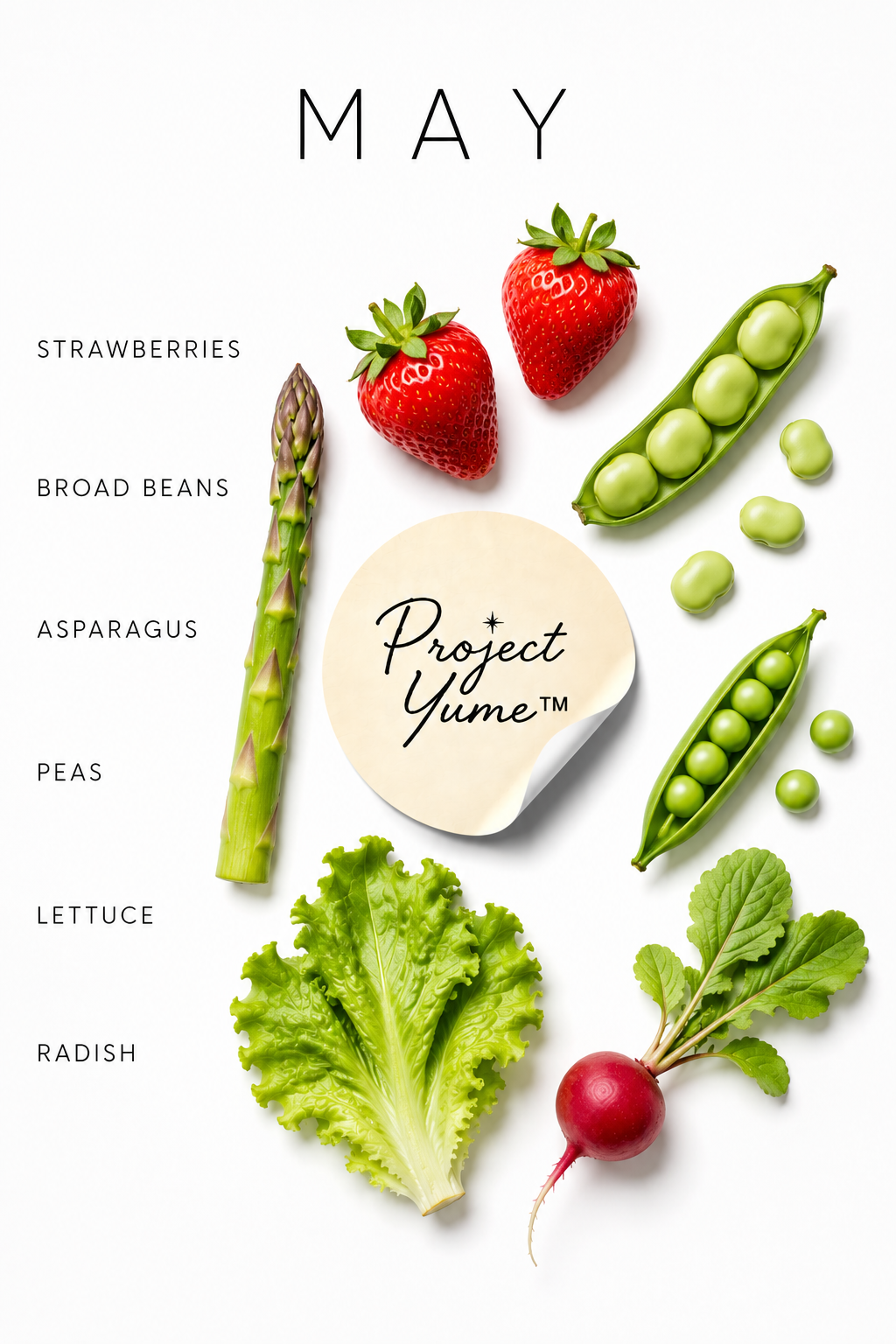 Seasonal Produce Prints